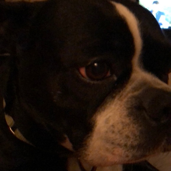 Meet your Posher, Elizabeth - Picture 1 of 1